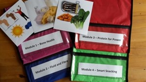 SEW Snippets Resource Kit.