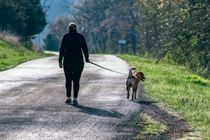 DogWalker